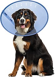 Calm Paws Calming Dog E-Collar XX-Large