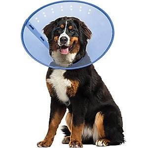 Calm Paws Calming Dog E-Collar XX-Large