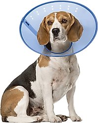 Calm Paws Calming Dog E-Collar, Medium