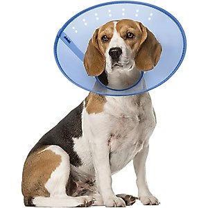 Calm Paws Calming Dog E-Collar, Medium