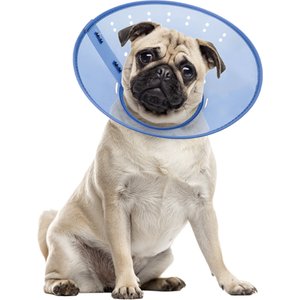 Calm Paws Calming Dog E-Collar, Small