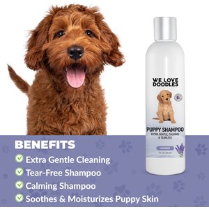 We Love Doodles Puppy Shampoo, Lavender Scent, 8-fl oz bottle