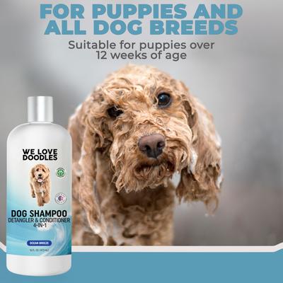 Show full view: We Love Doodles 4-in-1 Dog Shampoo Ocean Breeze Scent, 16-fl oz bottle slide 4 of 11