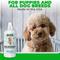 Show in main carousel: We Love Doodles Dog Detangler Spray Lavender Scent, 16-fl oz bottle slide 5 of 10