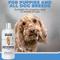 Show in main carousel: We Love Doodles 4-in-1 Dog Shampoo Lavender Scent, 16-fl oz bottle slide 5 of 10