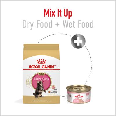 Show full view: Royal Canin Feline Breed Nutrition Maine Coon Kitten Dry Cat Food, 3-lb bag slide 6 of 13