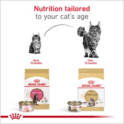 Show full view: Royal Canin Feline Breed Nutrition Maine Coon Kitten Dry Cat Food, 3-lb bag slide 7 of 13