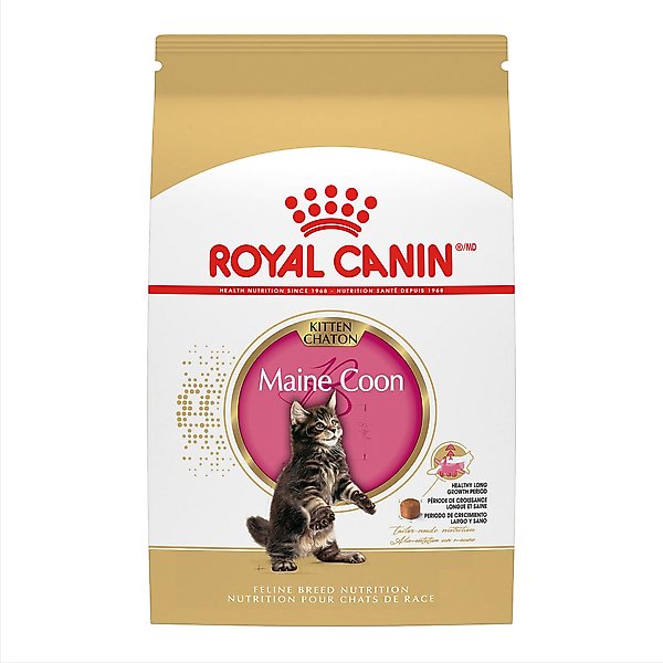 Royal Canin Feline Breed Nutrition Maine Coon Kitten Dry Cat Food, 3-lb bag