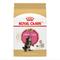Show in main carousel: Royal Canin Feline Breed Nutrition Maine Coon Kitten Dry Cat Food, 3-lb bag slide 1 of 13