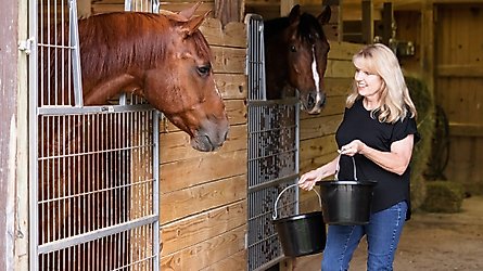 Horse Feed
