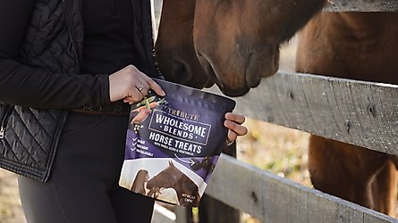 Horse Treats
