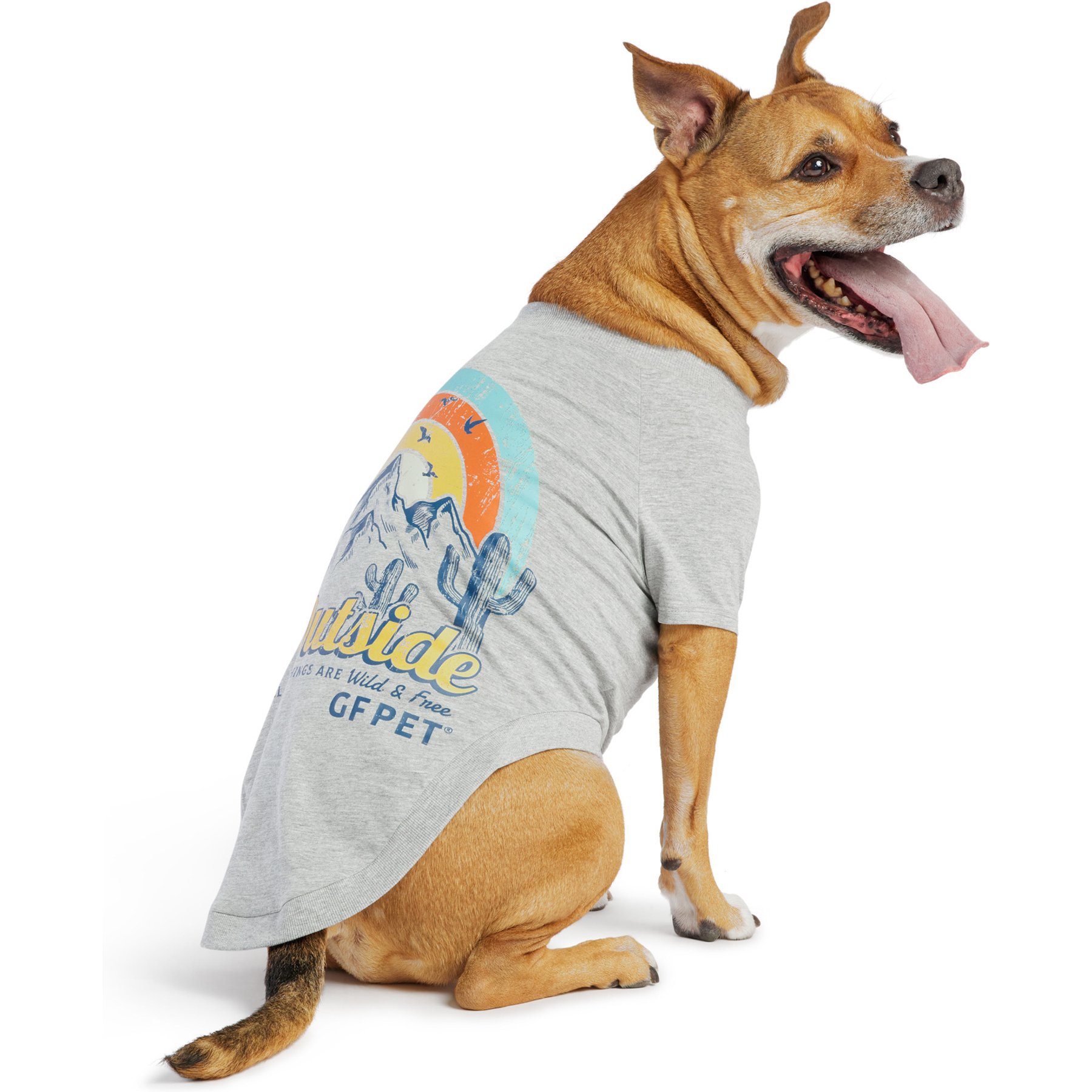GF Pet Graphic Dog T-Shirt, Grey, Small