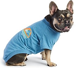 GF Pet Graphic Dog T-Shirt, Blue, X-Large