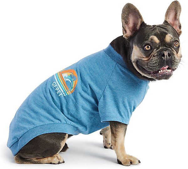 Show full view: GF Pet Graphic Dog T-Shirt, Blue, XX-Large slide 1 of 9