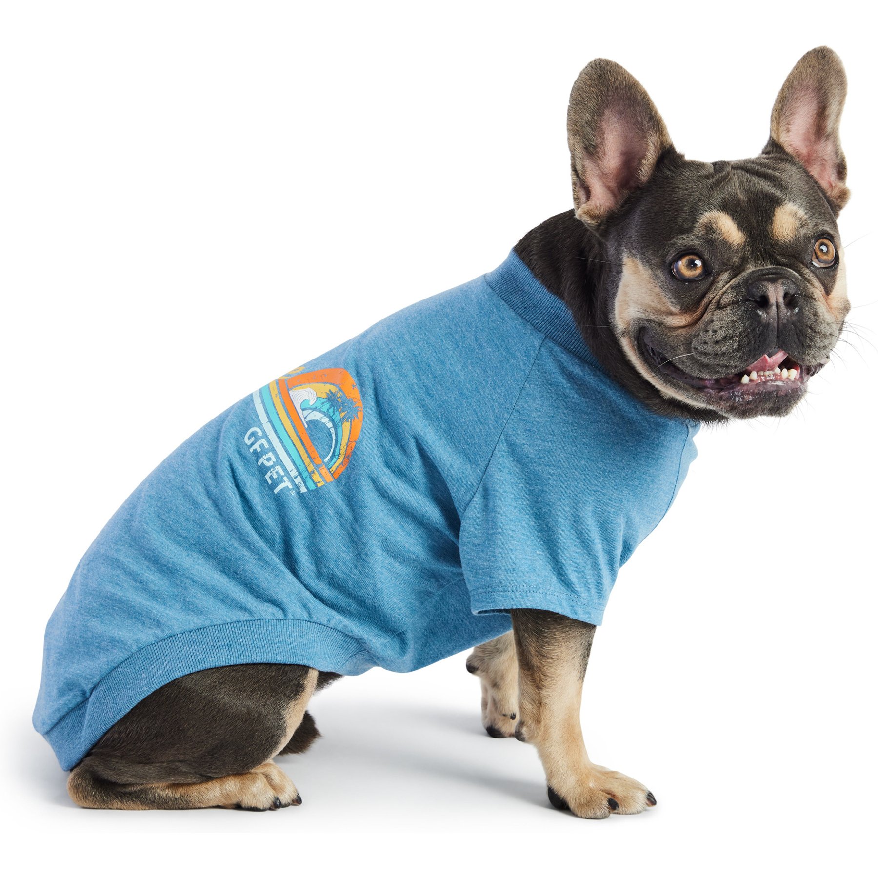 GF Pet Graphic Dog T-Shirt, Blue, XXX-Large