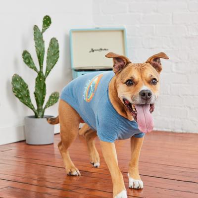 Show full view: GF Pet Graphic Dog T-Shirt, Blue, X-Large slide 6 of 9