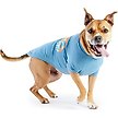 Show in main carousel: GF Pet Graphic Dog T-Shirt, Blue, XX-Large slide 4 of 9