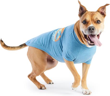 Show full view: GF Pet Graphic Dog T-Shirt, Blue, X-Large slide 4 of 9