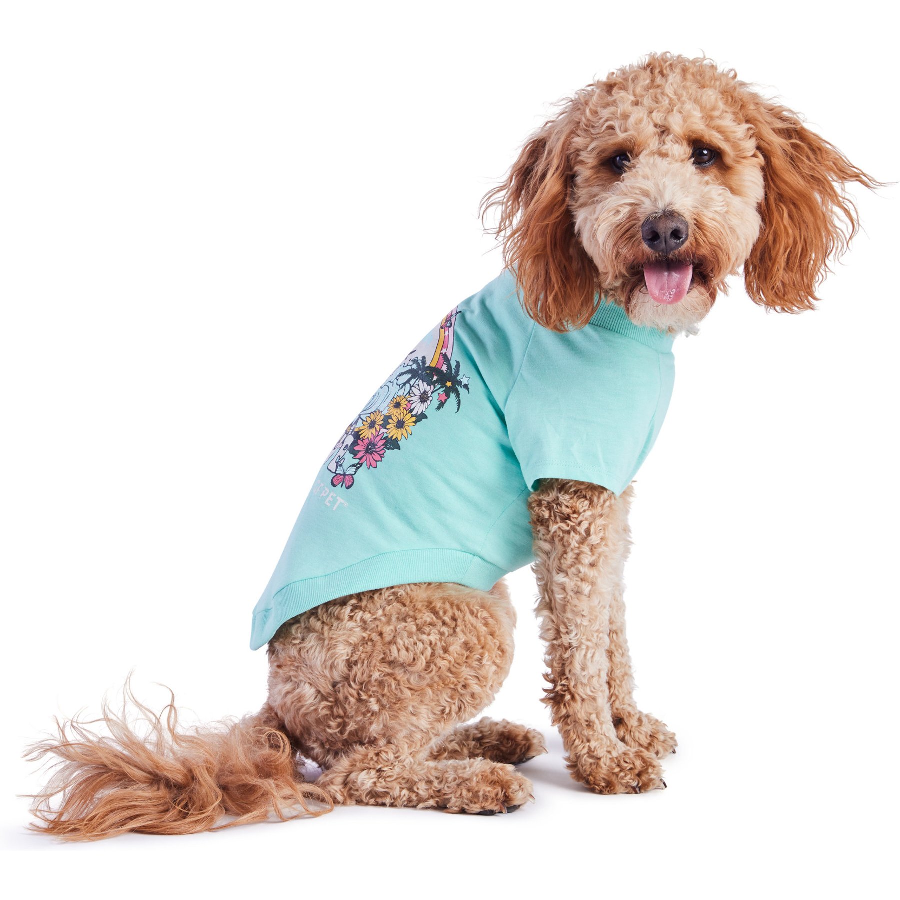 GF Pet Graphic Dog T-Shirt, Aqua, X-Small