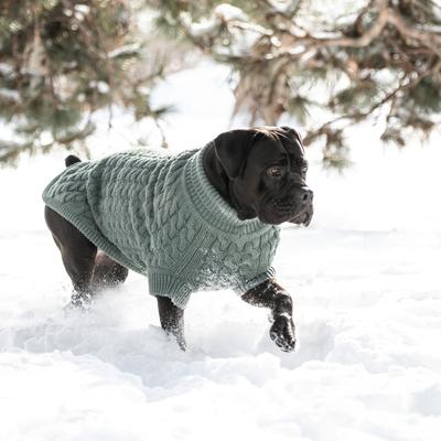 Show full view: GF Pet Chalet Dog Sweater, Sage, Small slide 6 of 8