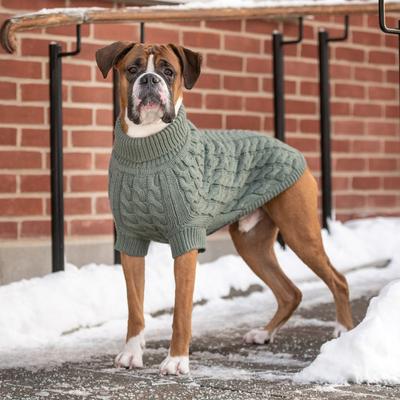 Show full view: GF Pet Chalet Dog Sweater, Sage, Small slide 7 of 8