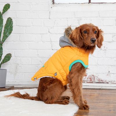 Show full view: GF Pet Winter Sailor Dog Parka, Yellow, X-Small slide 5 of 8