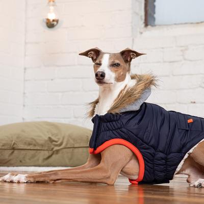 Show full view: GF Pet Winter Sailor Dog Parka, Navy, Medium slide 5 of 8