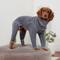 Show in main carousel: GF Pet Gondola Onesie Dog Sweater, Charcoal, X-Small slide 5 of 10