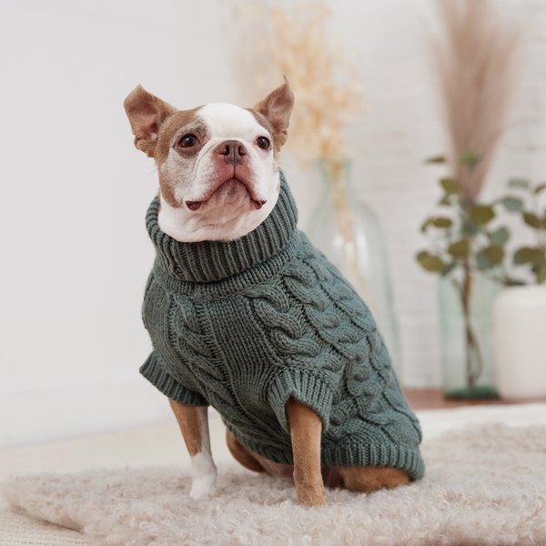 GF Pet Chalet Dog Sweater