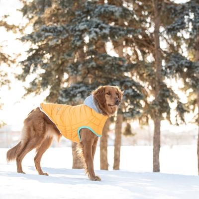 Show full view: GF Pet Winter Sailor Dog Parka, Yellow, X-Small slide 6 of 8