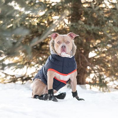 Show full view: GF Pet Winter Sailor Dog Parka, Navy, Medium slide 6 of 8