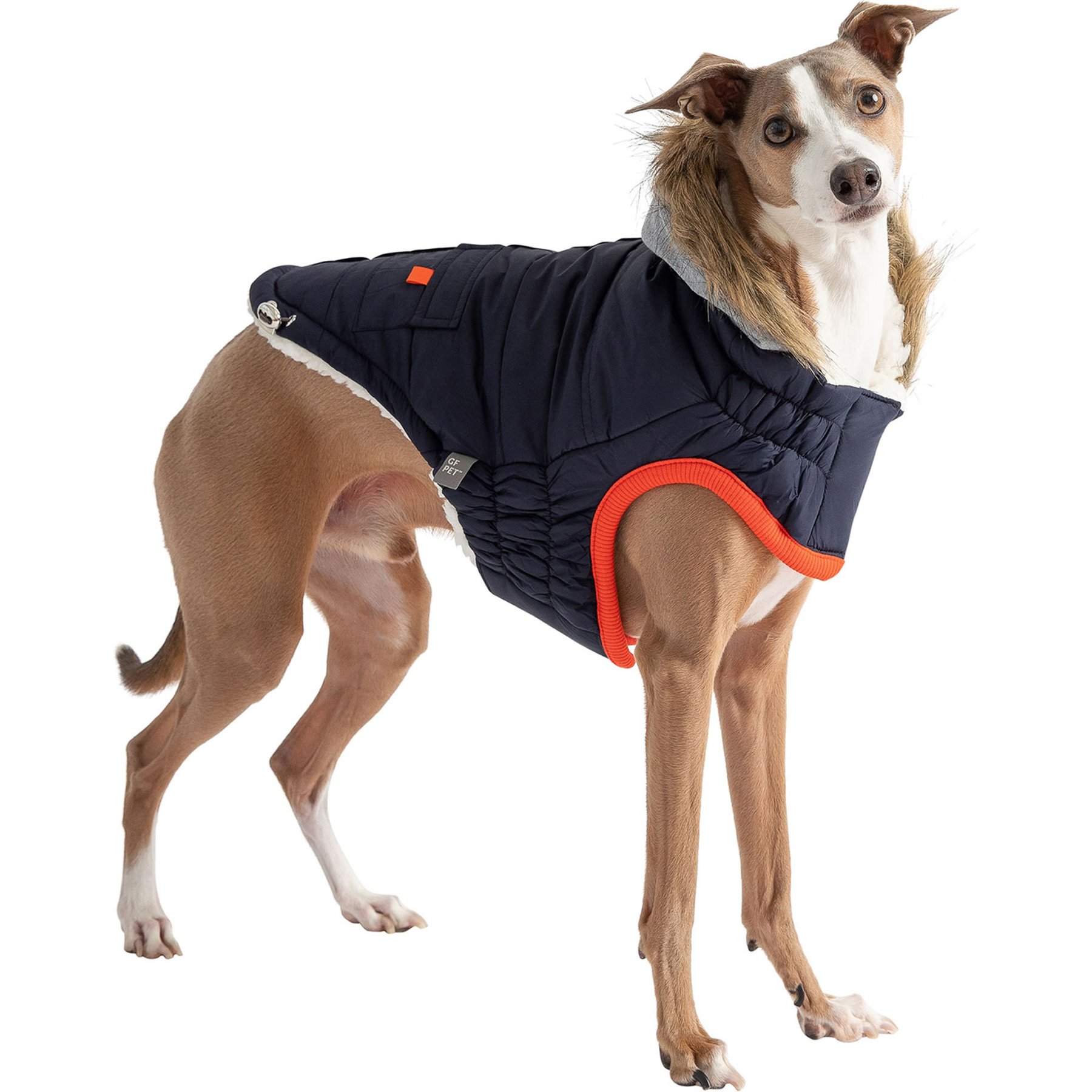 GF Pet Winter Sailor Dog Parka, Navy, Medium
