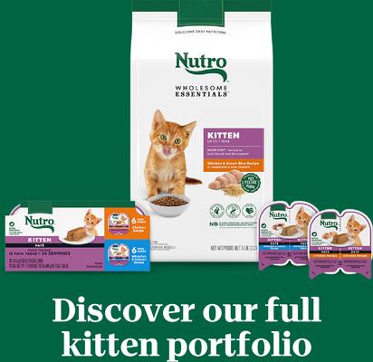 Show full view: Nutro Perfect Portions Kitten Chicken Recipe Pate Wet Cat Food, 2.6-oz, case of 24 twin-packs slide 10 of 11