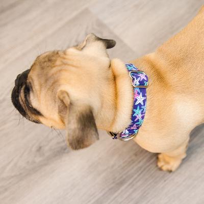 Show full view: Zaley Designs Purple Starfish Cotton Dog Collar, Large: 15 to 25-in neck, 1-in wide slide 4 of 6