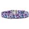 Show in main carousel: Zaley Designs Purple Starfish Cotton Dog Collar, Large: 15 to 25-in neck, 1-in wide slide 3 of 6