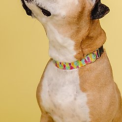 Zaley Designs Neon Pineapples Cotton Dog Collar, Small: 10 to 14-in neck, 3/4-in wide slide 2 of 6