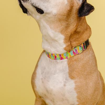 Show full view: Zaley Designs Neon Pineapples Cotton Dog Collar, Large: 15 to 25-in neck, 1-in wide slide 3 of 6