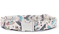 Zaley Designs Retro Skateboards Cotton Dog Collar, Large: 15 to 25-in neck, 1-in wide