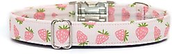 Zaley Designs Pink Strawberries Cotton Dog Collar, Medium: 13 to 20-in neck, 1-in wide slide 2 of 3