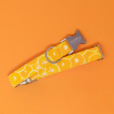 Show full view: Zaley Designs Oranges Fruit Cotton Dog Collar, X-Small: 8 to 12-in neck, 5/8-in wide slide 4 of 5