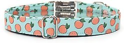 Zaley Designs Mint Peaches Cotton Dog Collar, Small: 10 to 14-in neck, 3/4-in wide slide 2 of 3