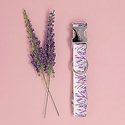 Zaley Designs Lavender Purple Floral Cotton Dog Collar, Medium: 13 to 20-in neck, 1-in wide slide 2 of 4