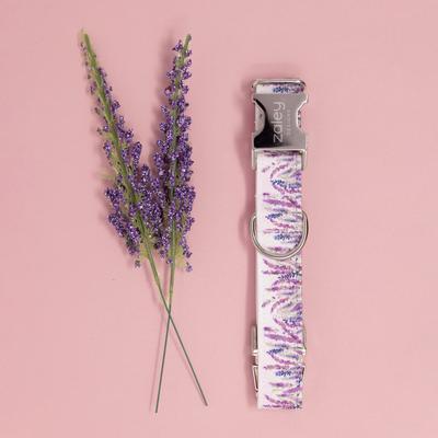 Show full view: Zaley Designs Lavender Purple Floral Cotton Dog Collar, Large: 15 to 25-in neck, 1-in wide slide 4 of 5