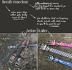 Zaley Designs Trim to Size Pink Floral Polyurethane Dog Collar, Small: 9 to 16-in neck, 3/4-in wide slide 2 of 4