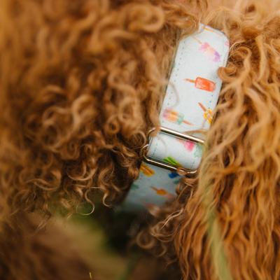 Show full view: Zaley Designs Summer Popsicles Cotton Dog Collar, Medium: 13 to 20-in neck, 1-in wide slide 3 of 5
