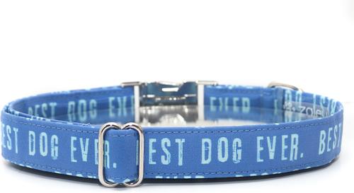 Show full view: Zaley Designs Best Dog Ever Cotton Dog Collar, Blue, Small: 10 to 14-in neck, 3/4-in wide slide 3 of 5