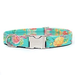 Zaley Designs Teal & Yellow Floral Cotton Dog Collar, X-Small: 8 to 12-in neck, 5/8-in wide slide 1 of 5