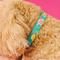 Show in main carousel: Zaley Designs Teal & Yellow Floral Cotton Dog Collar, Medium: 13 to 20-in neck, 1-in wide slide 3 of 5