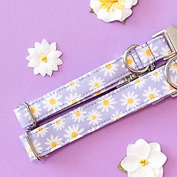 Zaley Designs Daisies Floral Cotton Dog Collar, Purple, Small: 10 to 14-in neck, 3/4-in wide slide 2 of 6