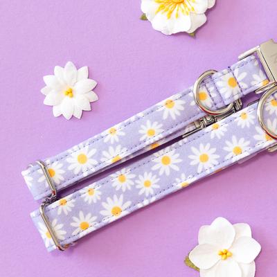Show full view: Zaley Designs Daisies Floral Cotton Dog Collar, Purple, Medium: 13 to 20-in neck, 1-in wide slide 4 of 6